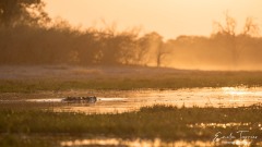 Un soir au bord de l'eau
