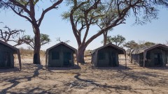 Camp - Botswana