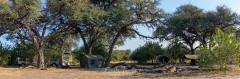 Camp - Botswana