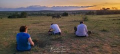 Apéritif interrompu par un rhinocéros