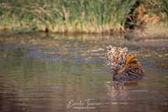 Le bain