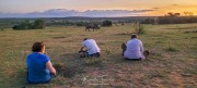 Apéritif interrompu par un rhinocéros