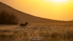 Un matin pas comme les autres