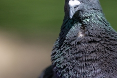Tu veux ma photo