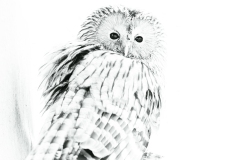 Oural