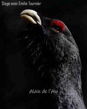 Alain Perriolat