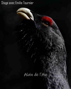 Alain Perriolat