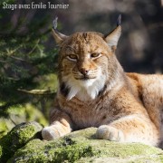 Serge-Fritz-stage-photo-Emilie-Tournier-Essonne-France-Angleterre-Allemagne-Afrique-3