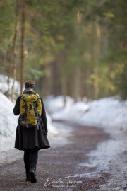 Chemin - Bayerischerwald