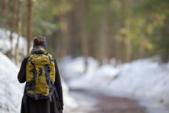 Chemin - Bayerischerwald