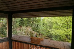 Enclos des lynx - Bayerischerwald