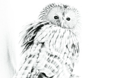 Oural