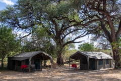 Camp - Botswana
