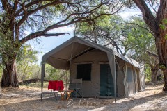 Camp - Botswana