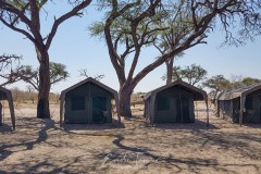 Camp - Botswana