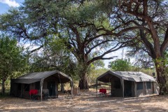 Camp - Botswana