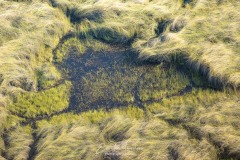 Emilie-Tournier-Photographe-animaliere-Brunoy-stage-photo-France