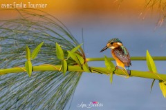 Evelyne Brenders Evelyne Brenders