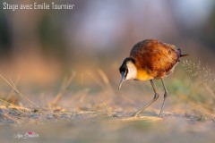 Evelyne Brenders Evelyne Brenders