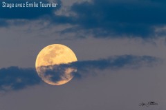 Evelyne Brenders Evelyne Brenders