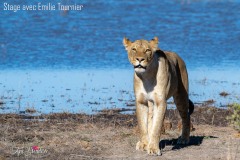 Evelyne Brenders Evelyne Brenders