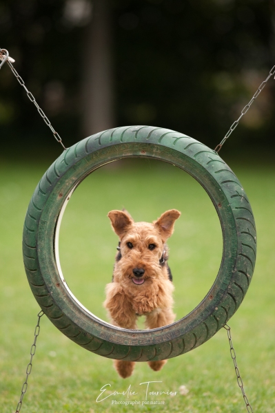 Holly