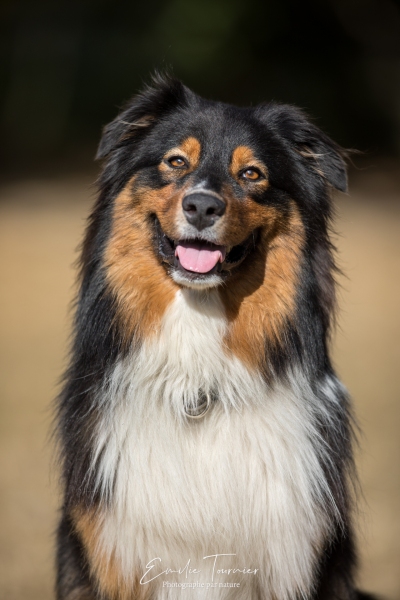 Oz 20