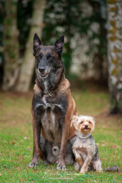 Thaï et Sansa