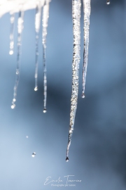 Goutte suspendue