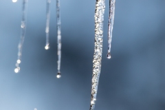 Goutte suspendue
