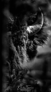 Rencontre
