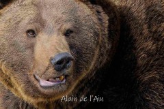 Alain Perriolat Alain Perriolat