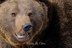 Alain Perriolat Alain Perriolat