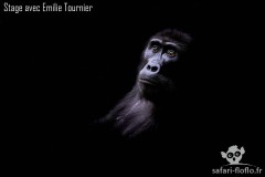 Florence Diguer Florence Diguer