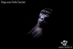 Florence Diguer Florence Diguer