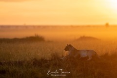 Les grands espaces du Kenya