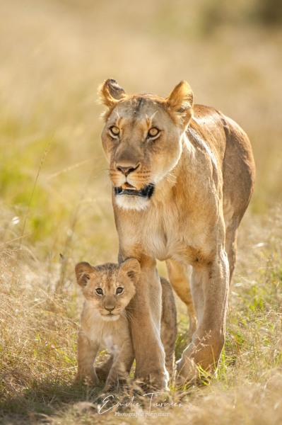 Ils sont par là les paparazzi, maman !