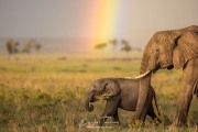 Over the rainbow