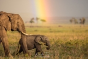 Over the rainbow