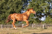 Qalinka - 07