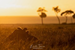 Réveil en famille