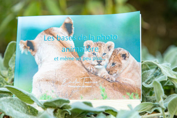 Photo Guide photo animalière