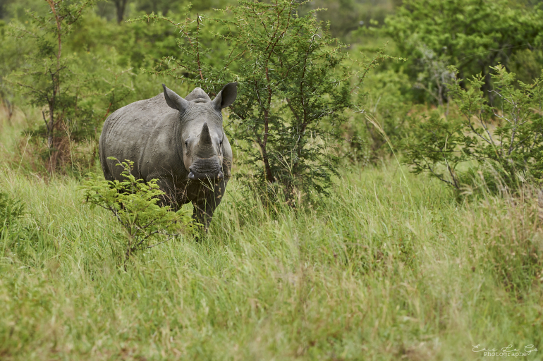 voyage photo Afrique du sud