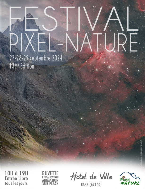 affiche Pixel Nature festival photo animaux